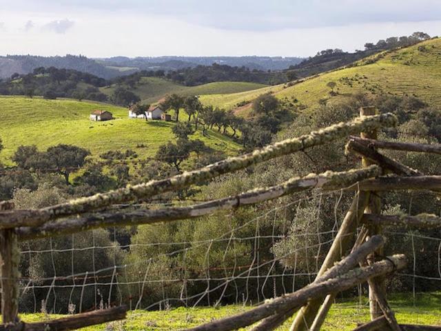 Monte Da Gravita Ribeira do Salto Exteriér fotografie